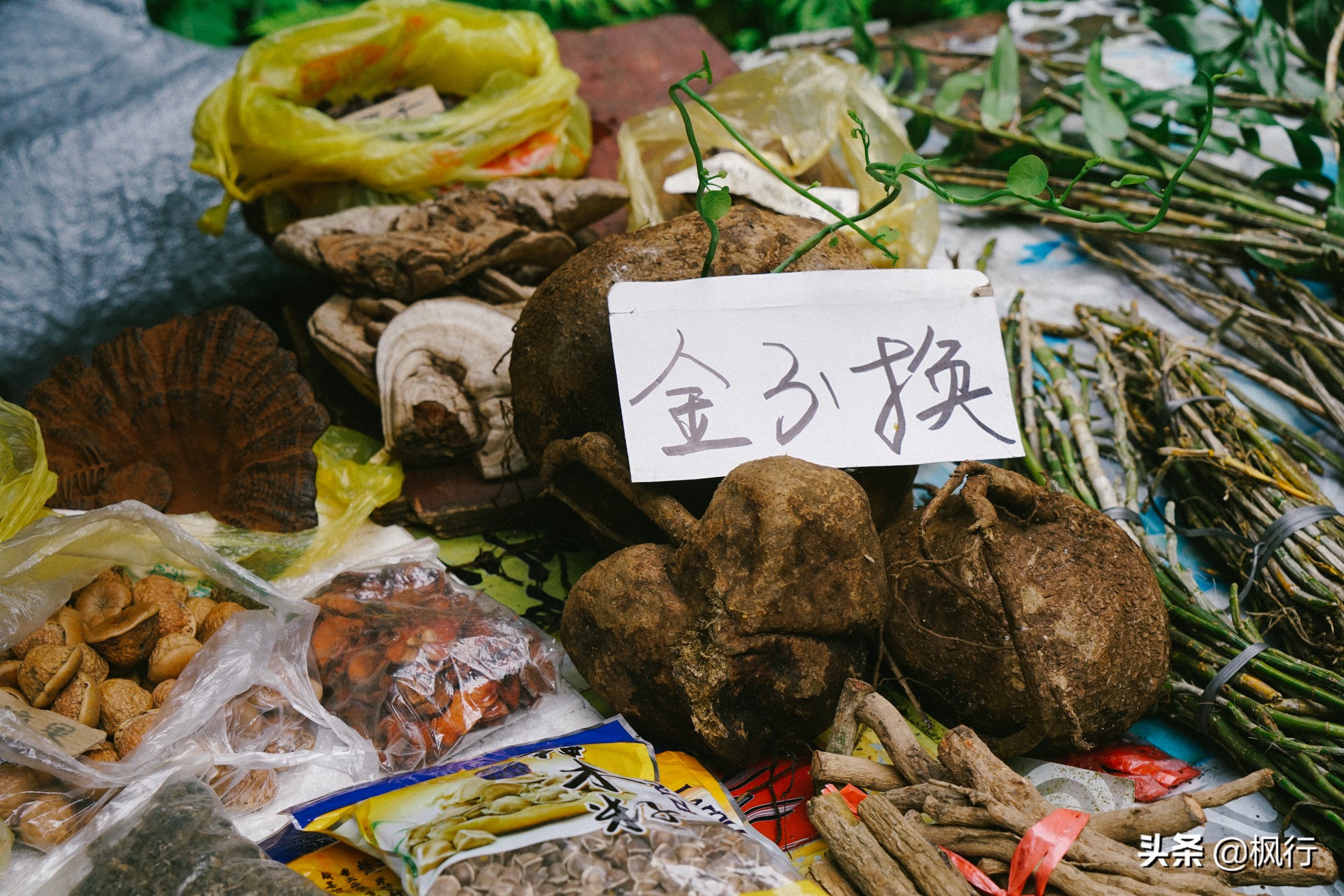 从崇左到靖西，广西赠送我的一首田园诗；附景区自驾攻略