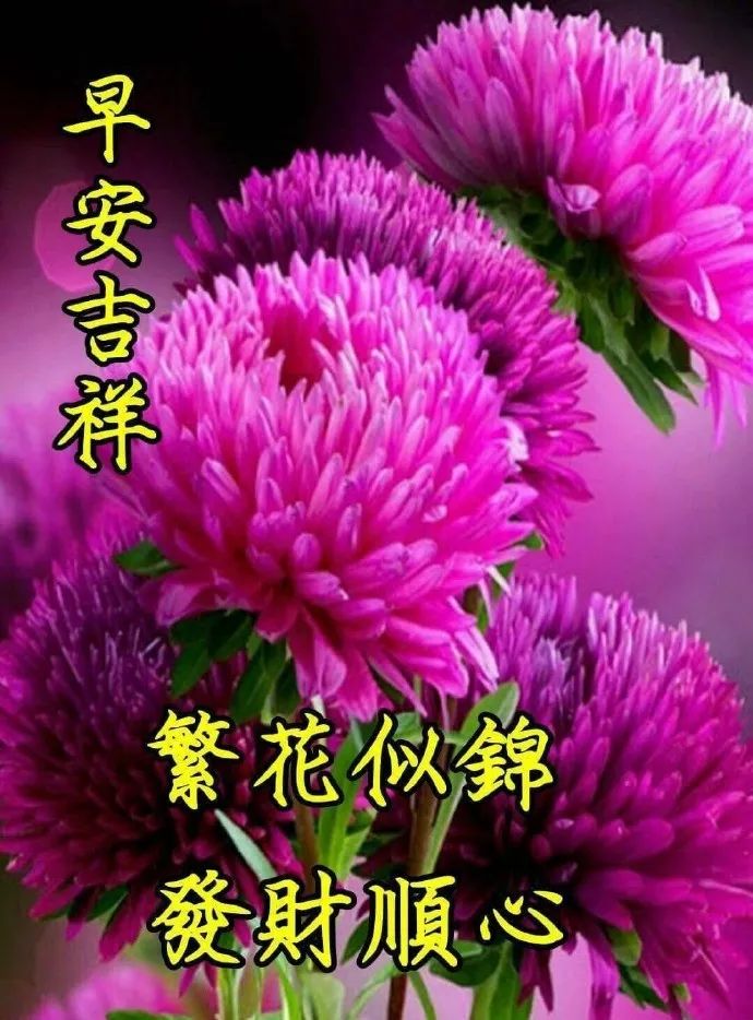 2022早晨好漂亮祝福语录图片 朋友圈精选唯美带字的早上好问候图片