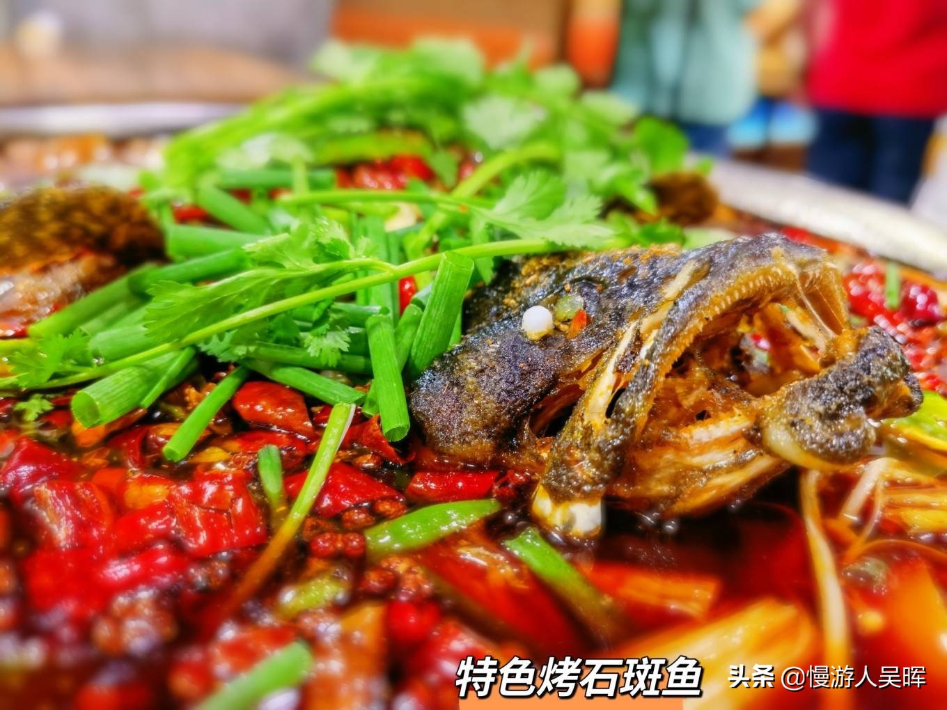 我和海南的约惠丨海南环岛西线自驾，小众体验，风光美食无限好