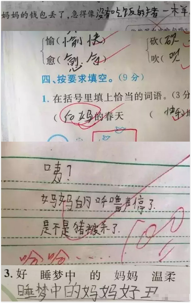 小学生"0分试卷"幽默感十足,画风清奇,老师看完笑出驴叫声
