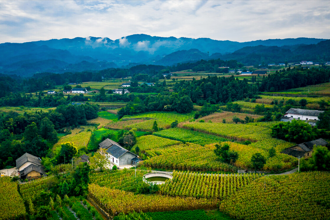 超实用！2022宅基地确权登记6六大法律知识必须要知道