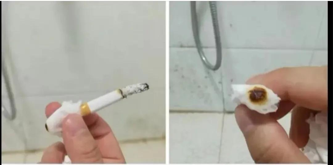 爆笑神评论：按照今年的菜价，这朵花不便宜吧！哈哈哈