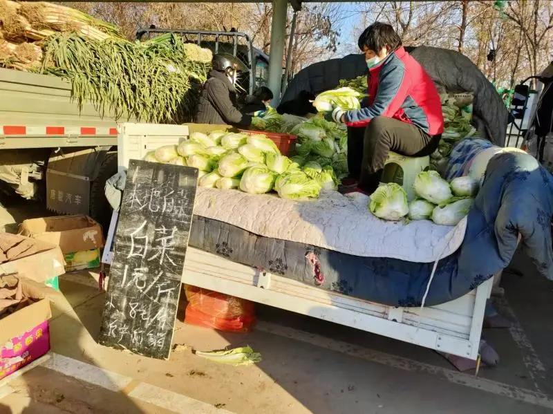 衡水市区大白菜供应充足!价格较去年翻一番