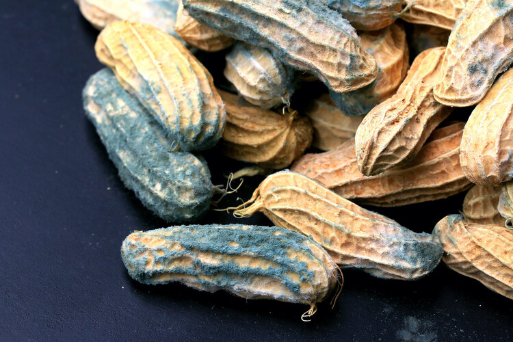 世卫组织致癌清单：除了中式咸鱼，还有8种东西尽量少接触