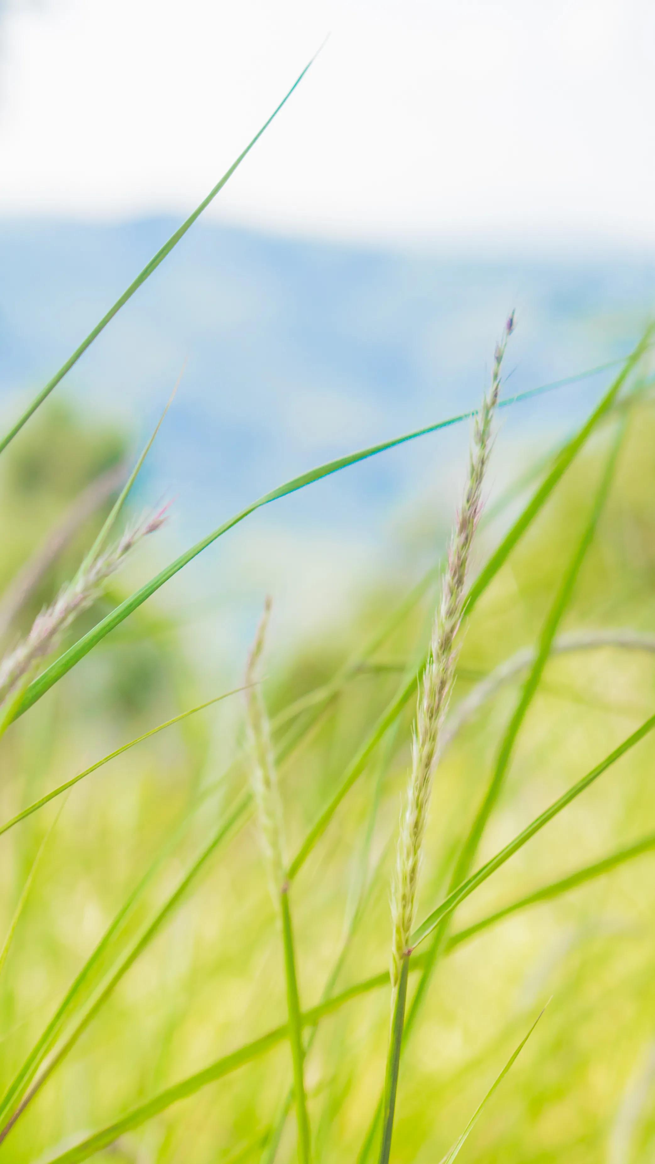 适合春天发朋友圈的句子,唯美又浪漫
