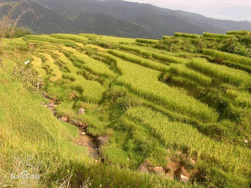 貴州農(nóng)業(yè)如何闖新路？看看2021年各類農(nóng)機(jī)銷量與價(jià)格