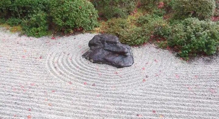 真正的幸福，其实是回到你自己