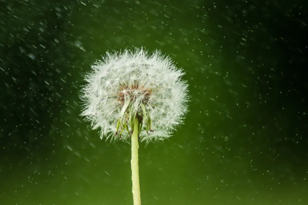 每一场雨，都有一个好听的名字