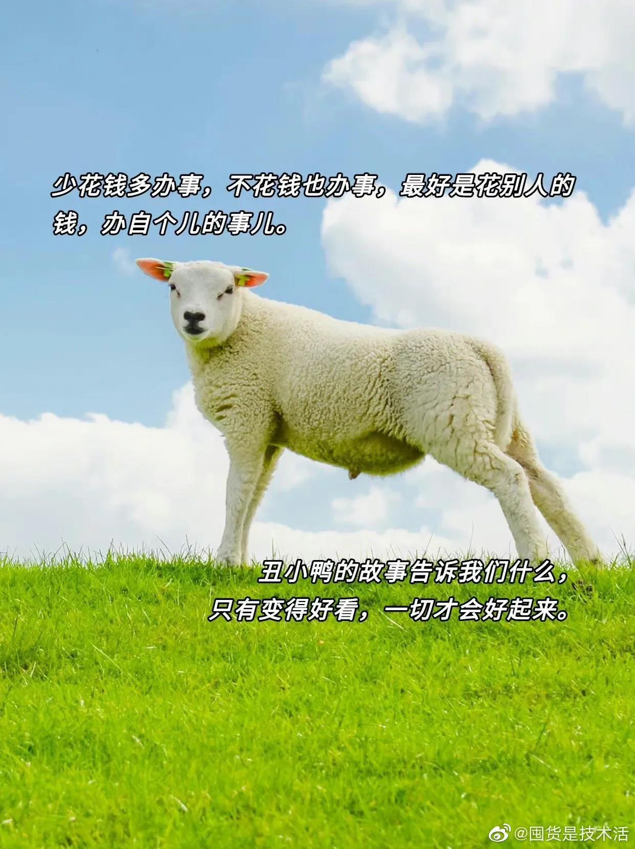 据说大张伟的嘴能救命，这谁能扛得住