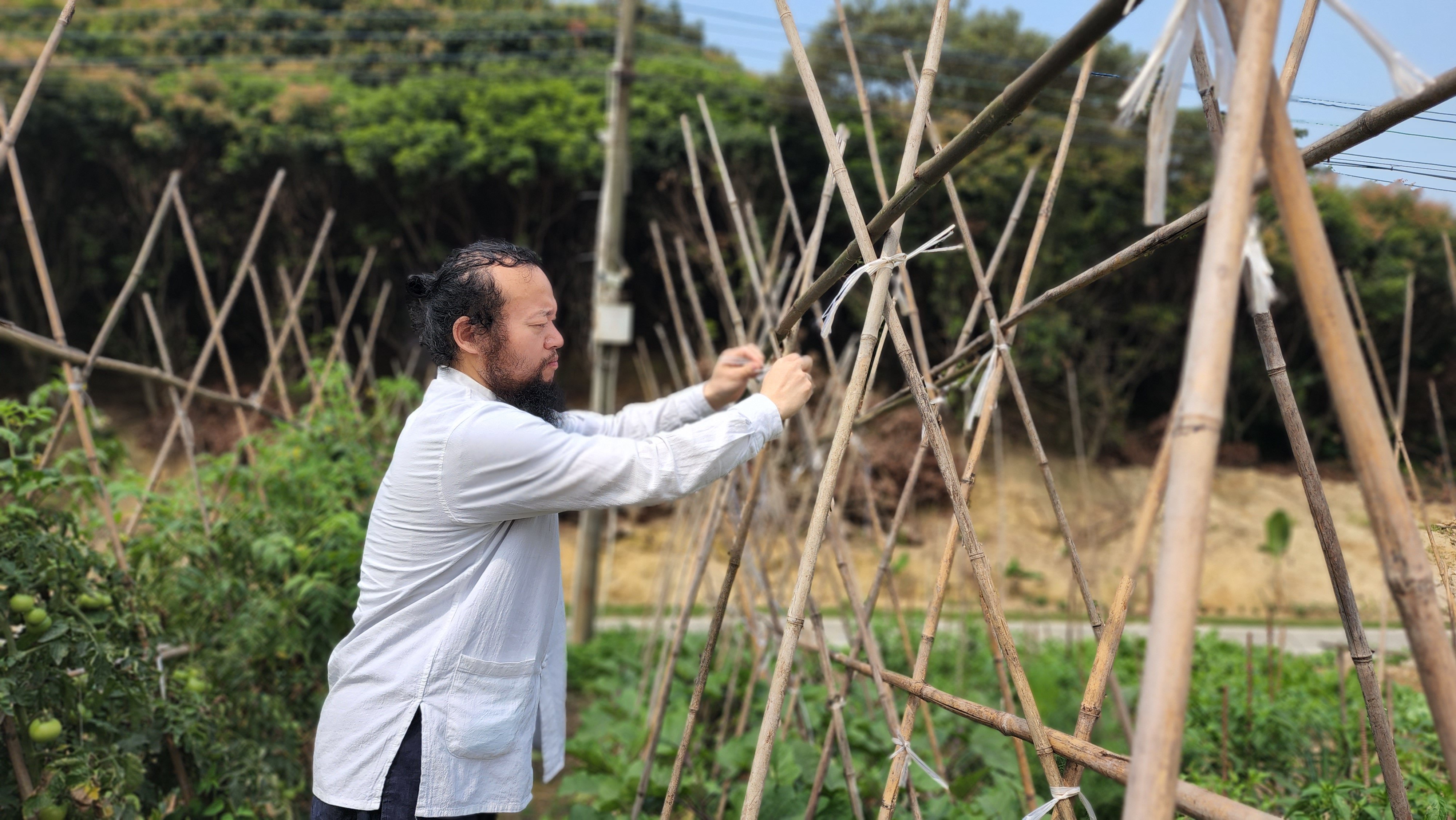 国学大师无量子的这3个优点