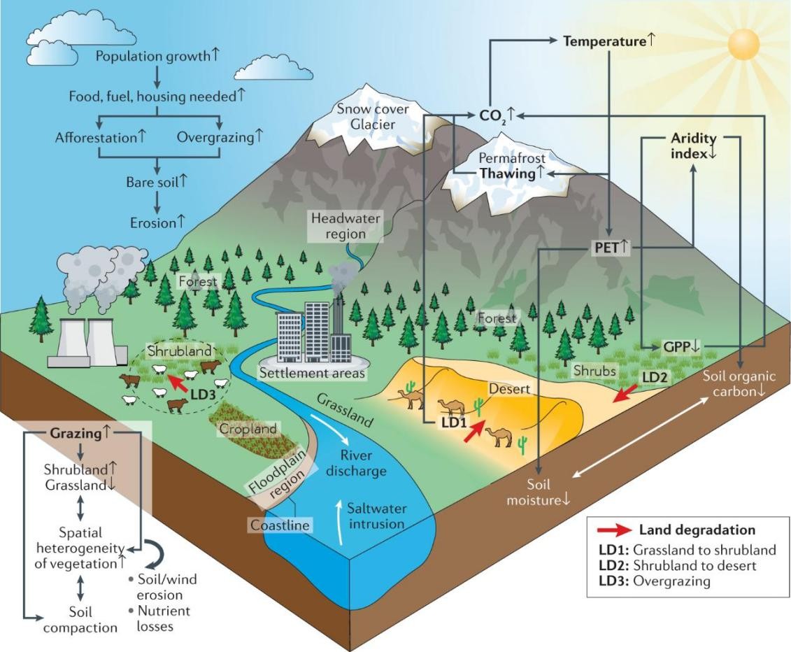 国内外广泛关注！这一全国十大研究进展揭晓，北京院士团队重磅成果入选！