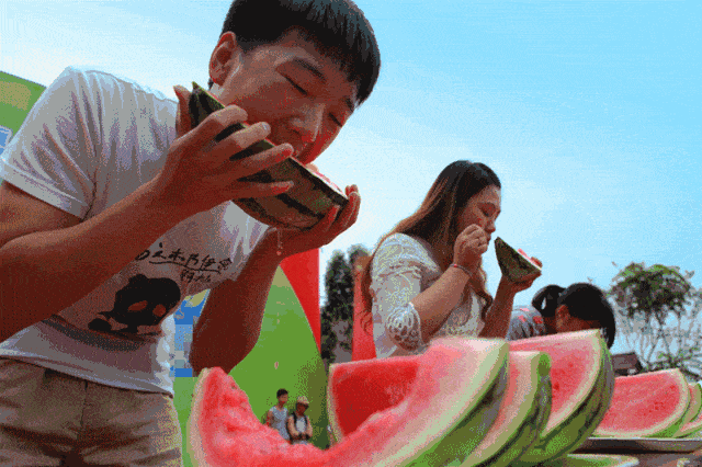 炎炎夏日何处去，快躲进老峨山里过一个凉爽的夏天
