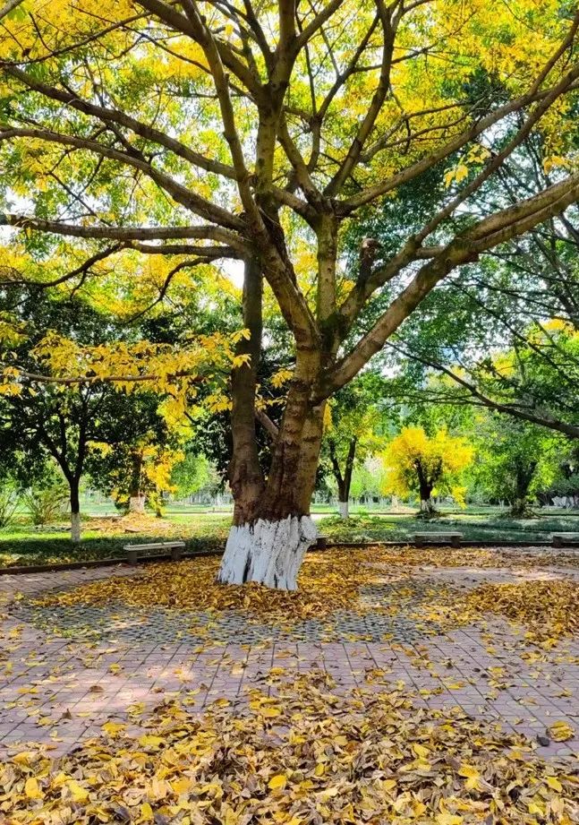 重大的春天，就是不一样