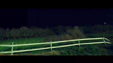 韩国电影《魔女2》上映了，希望有多大失望就有多大