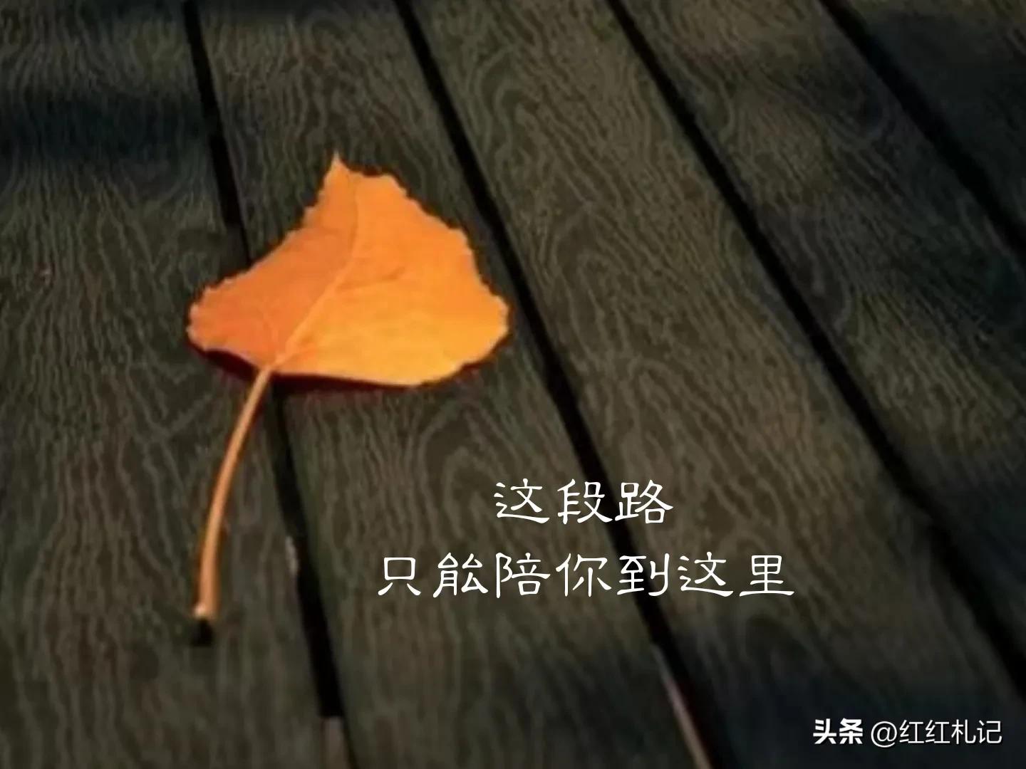 生活如此美好，何必自寻烦恼。