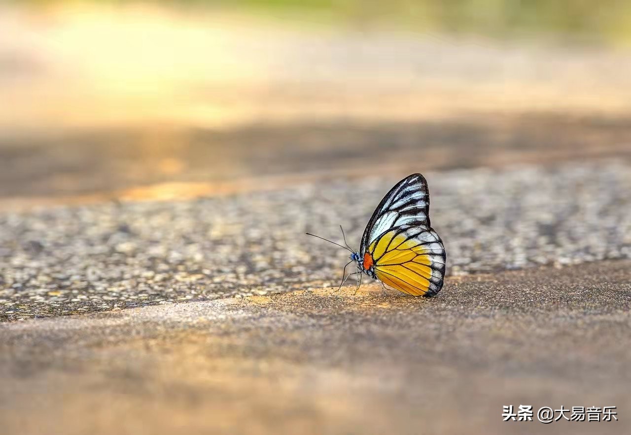 当前很火的情感语录，经典唯美短句，同感深受有意境