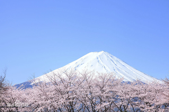 《富士山下》到底讲了一个什么爱情故事？冰茶带你一探究竟