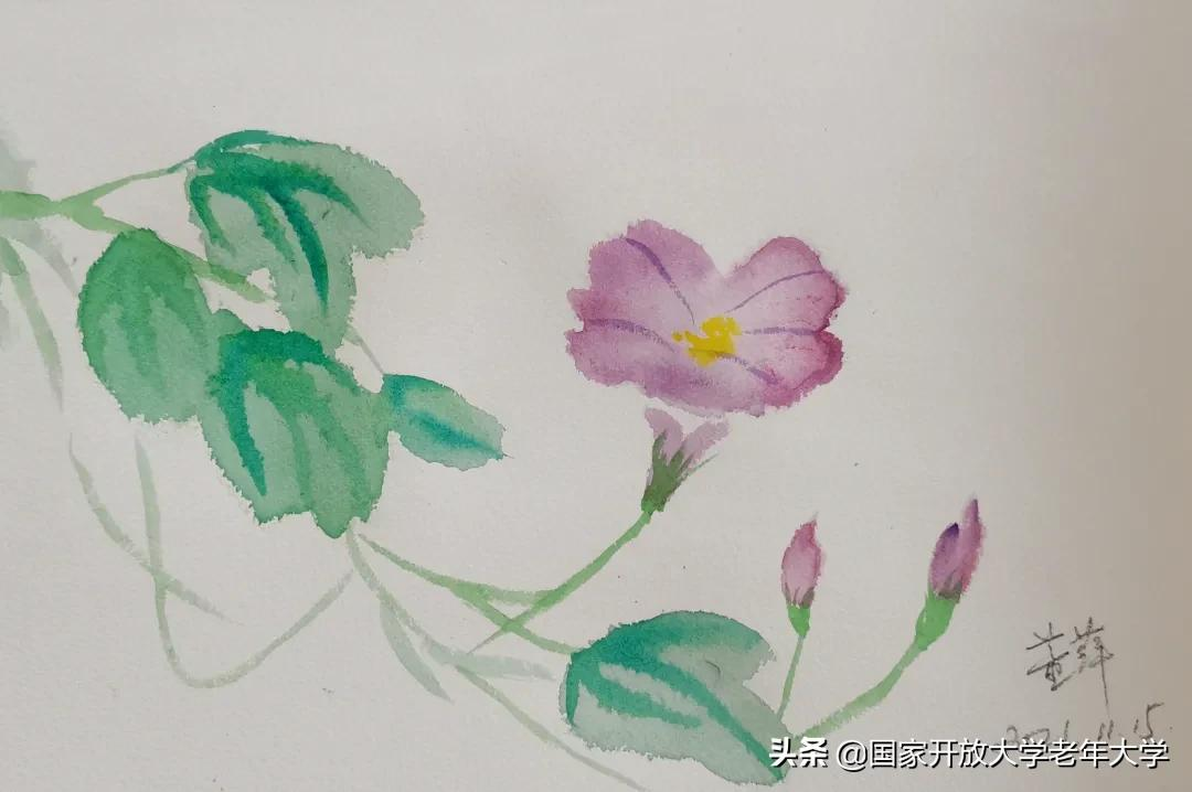 在校园·良作 | 水彩让我们的青春重新绽放——水彩画初级班学员作品