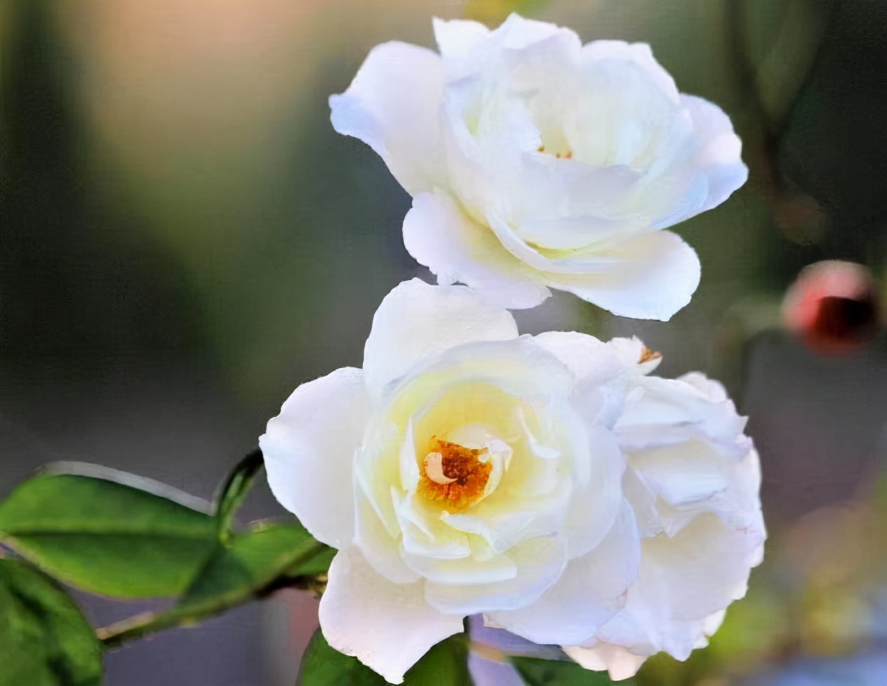 亲情的“等价交换”，最真实！别不信