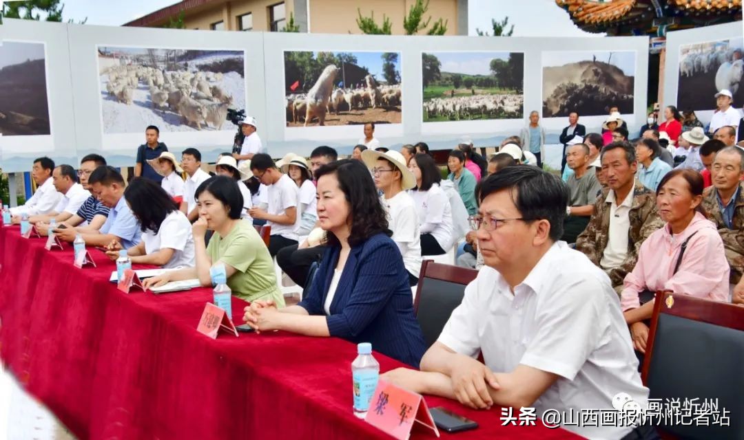 重磅！新华·岢岚绒山羊价格指数发布
