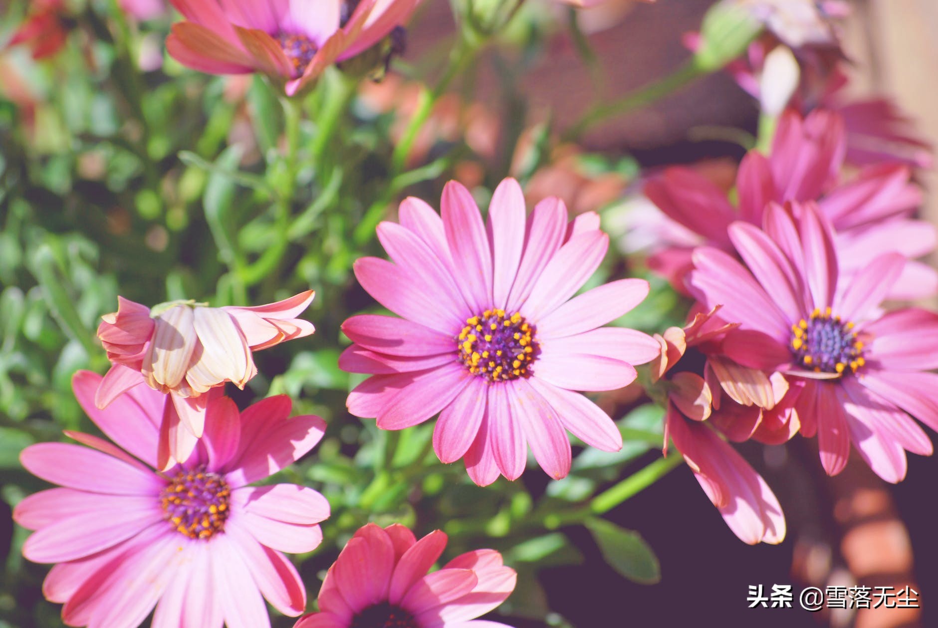 婚姻是一道门在线阅读（婚姻是一道门全文阅读）