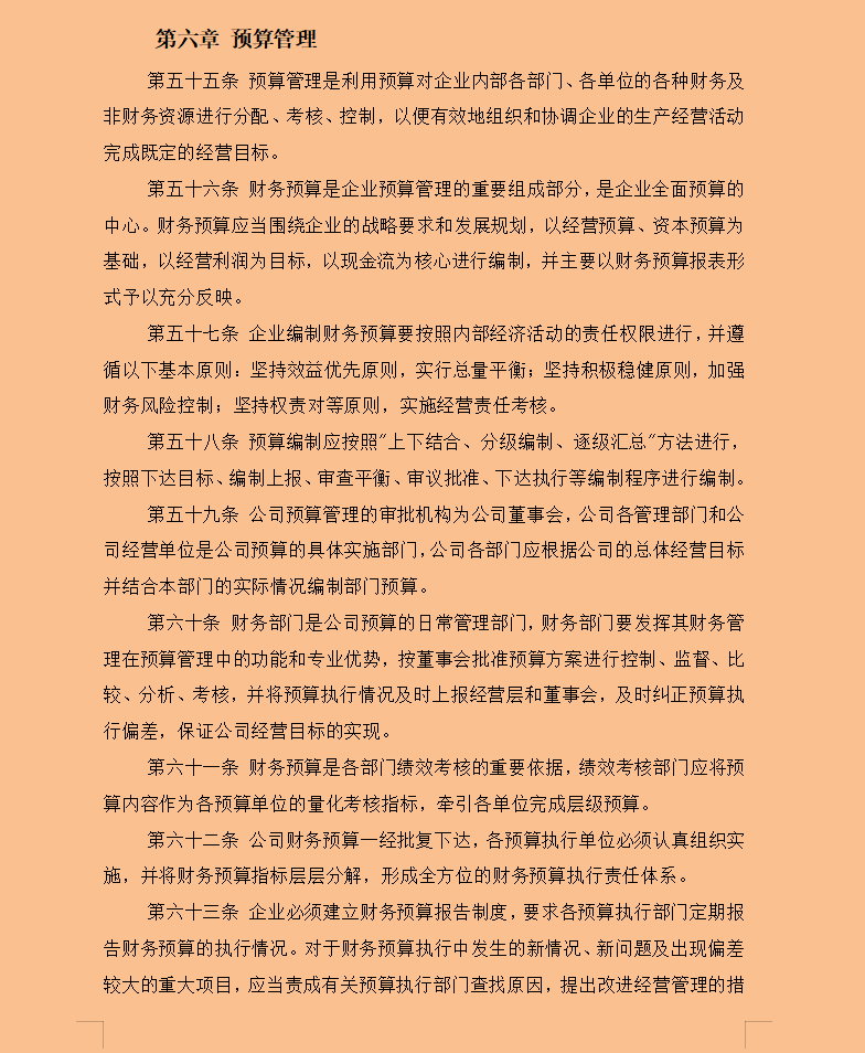 不愧是年薪30W的财务总监，刚上任实施的财务规章制度，真实用