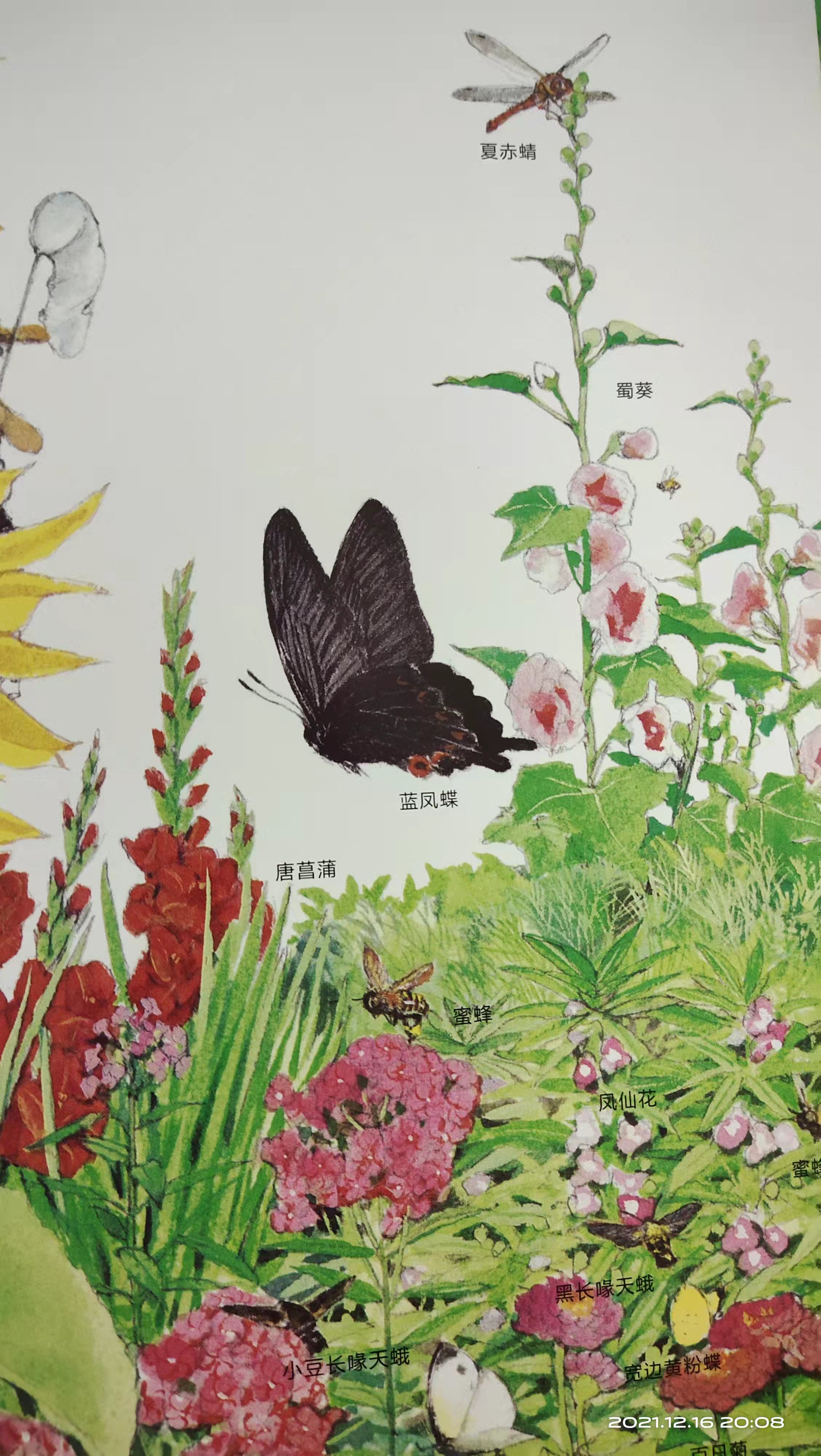 《路边的四季》带领我们发现自然之美，重温被我们忽略的生活细节