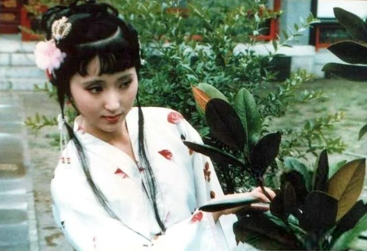 33位老牌簪花美人！林妹妹第一，林芳兵艳绝，你最偏爱谁呢？