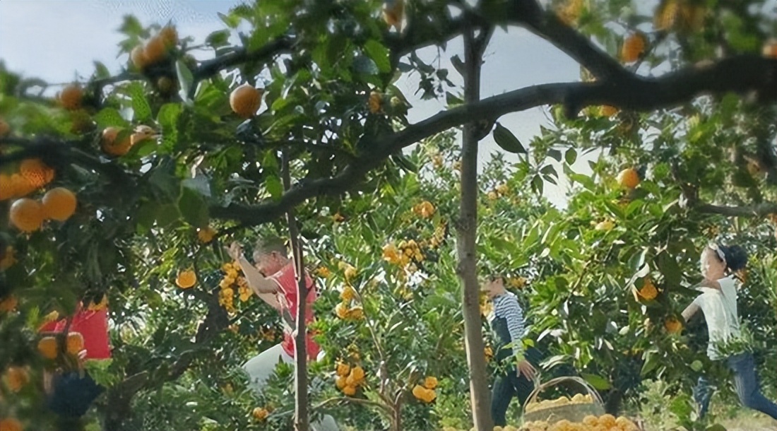 中国最会“泡”的城市在哪里？