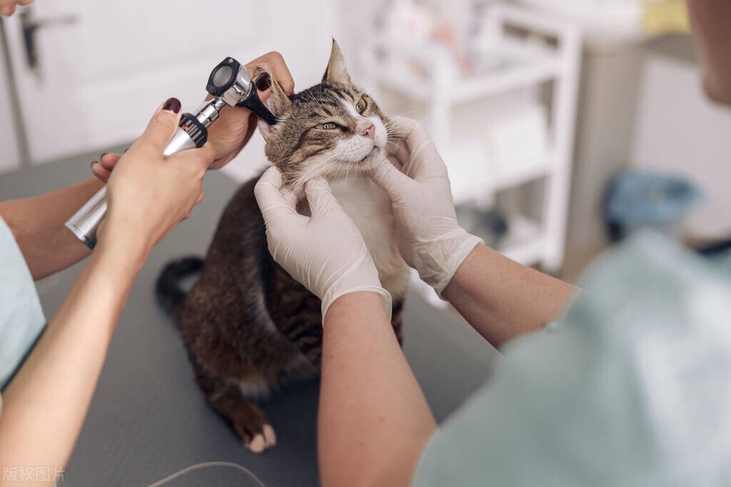 农学考研大解析来了！一个接地气的，与我们生活息息相关的专业