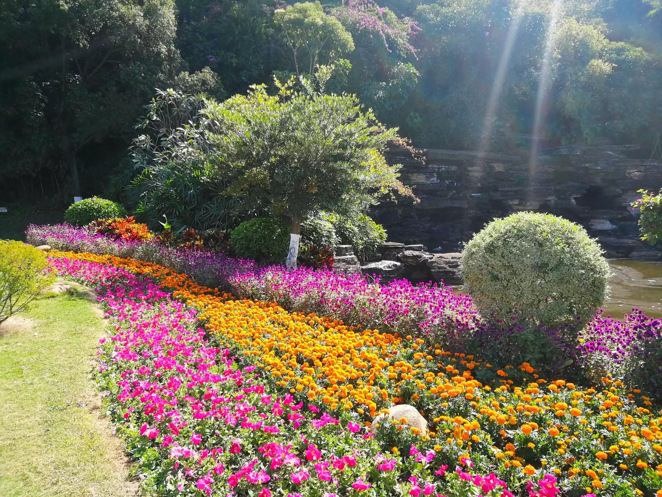 地铁4号线大学城游玩攻略，领略那不一样的广州大学城风光（C篇）