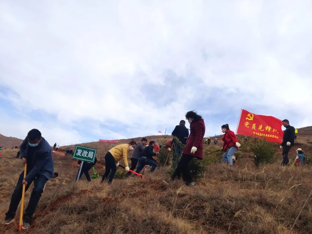 临潭县各乡镇各部门拉开春季义务植树序幕