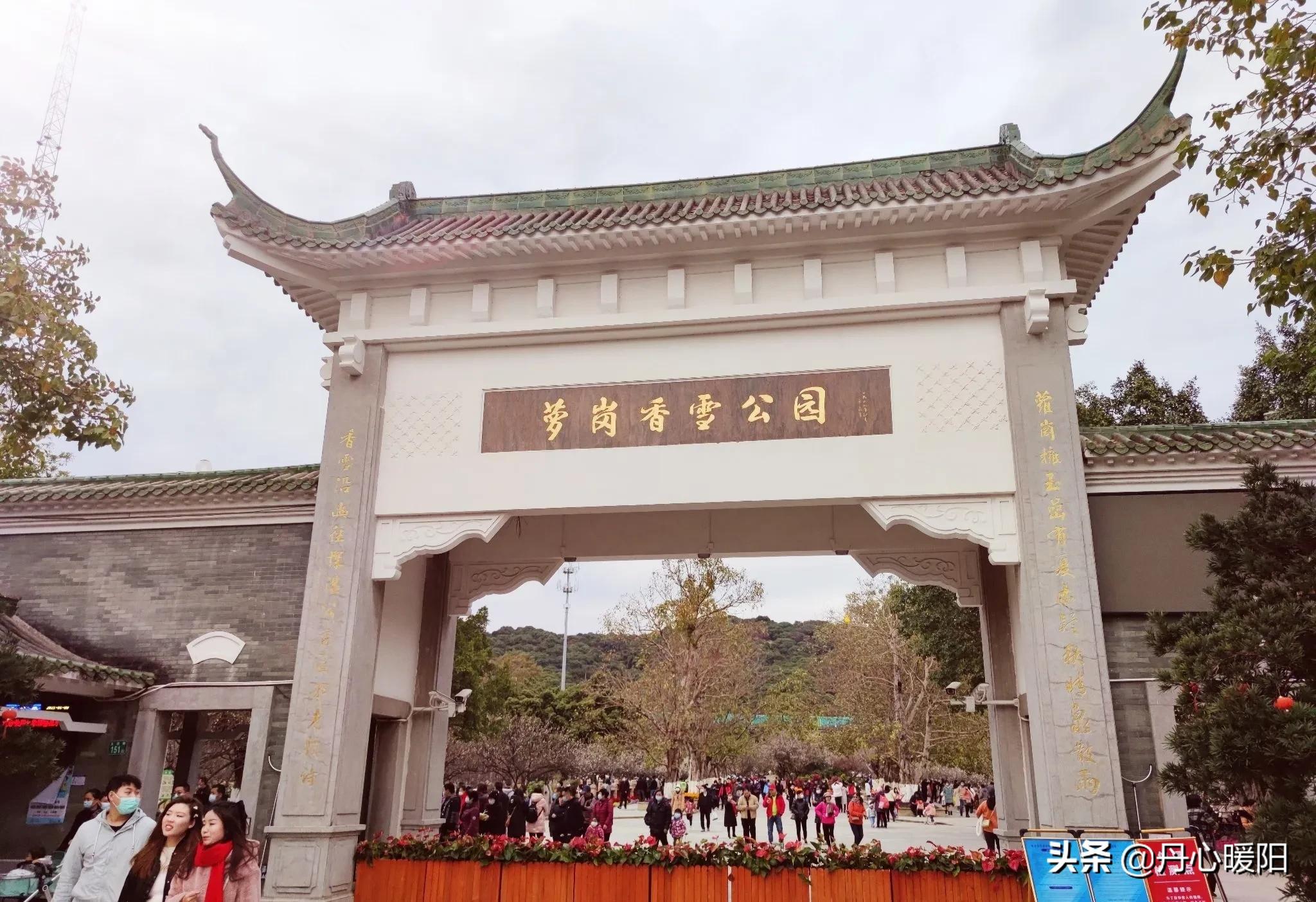 萝岗香雪有心无语暗香动，冬梅恋雪无意争春春来迎