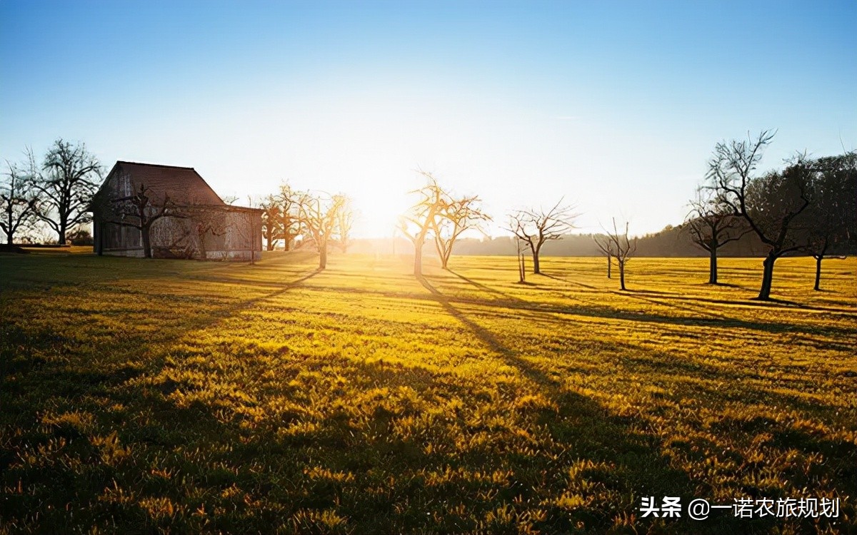 實現(xiàn)鄉(xiāng)村振興如何保障用地問題？