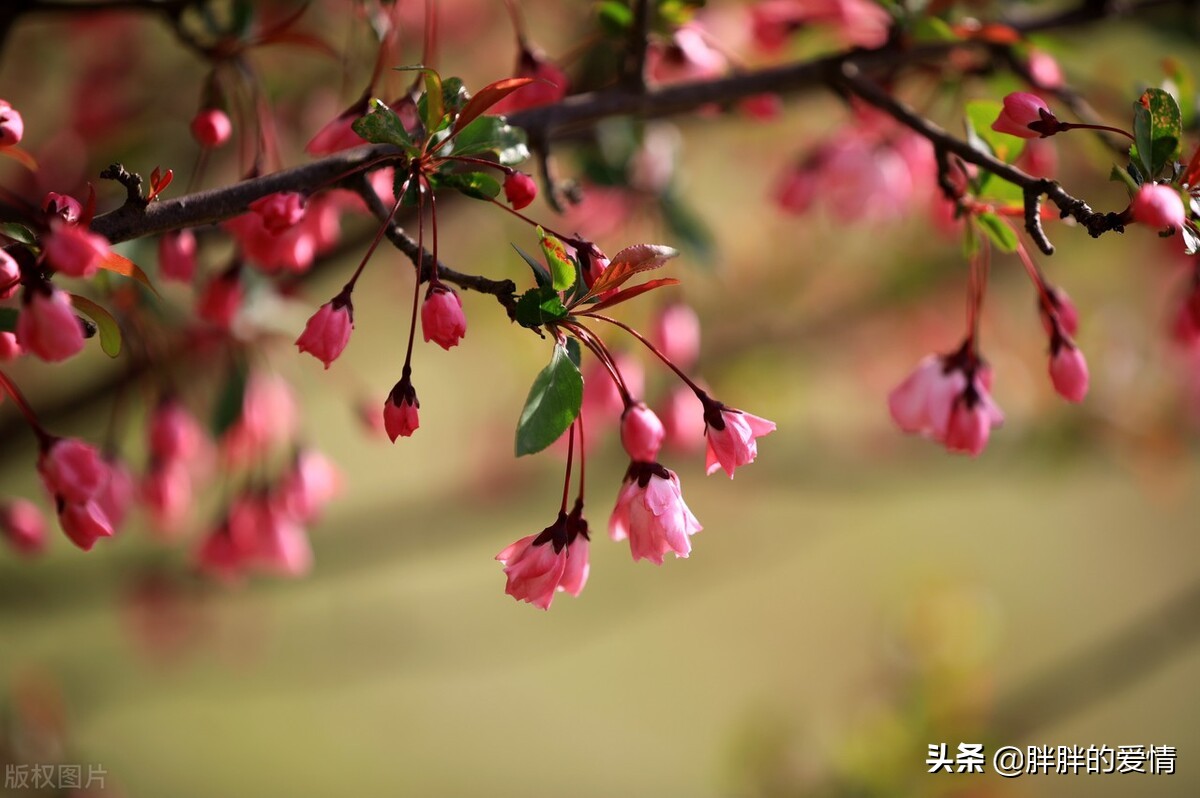 顺生而行，不沉迷过去，不狂热地期待未来，生命这样就好