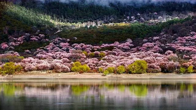 诗和远方 中国十大打卡地