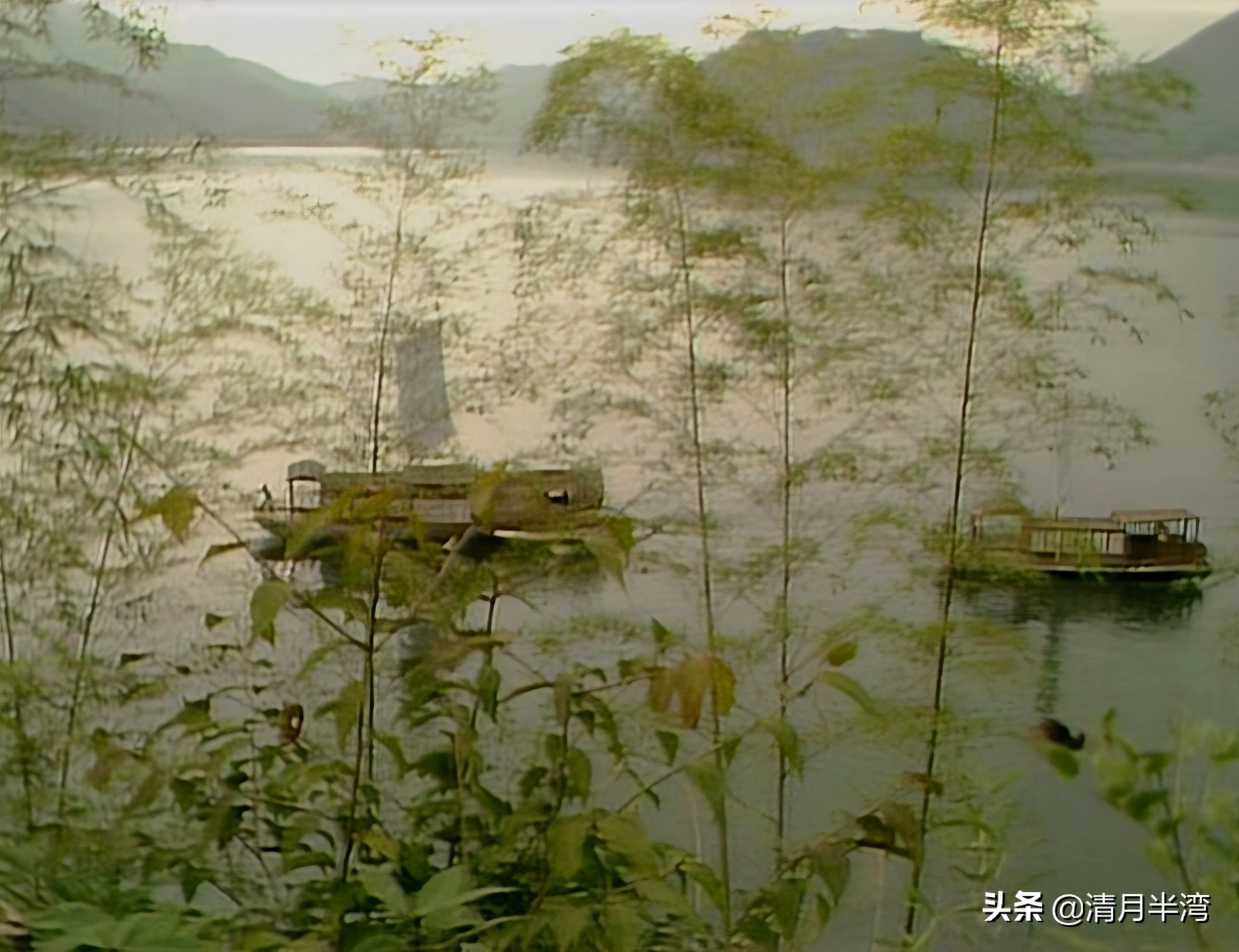 同样是演“林黛玉进贾府”，陈晓旭知书达礼，蒋梦婕宛若村姑进城