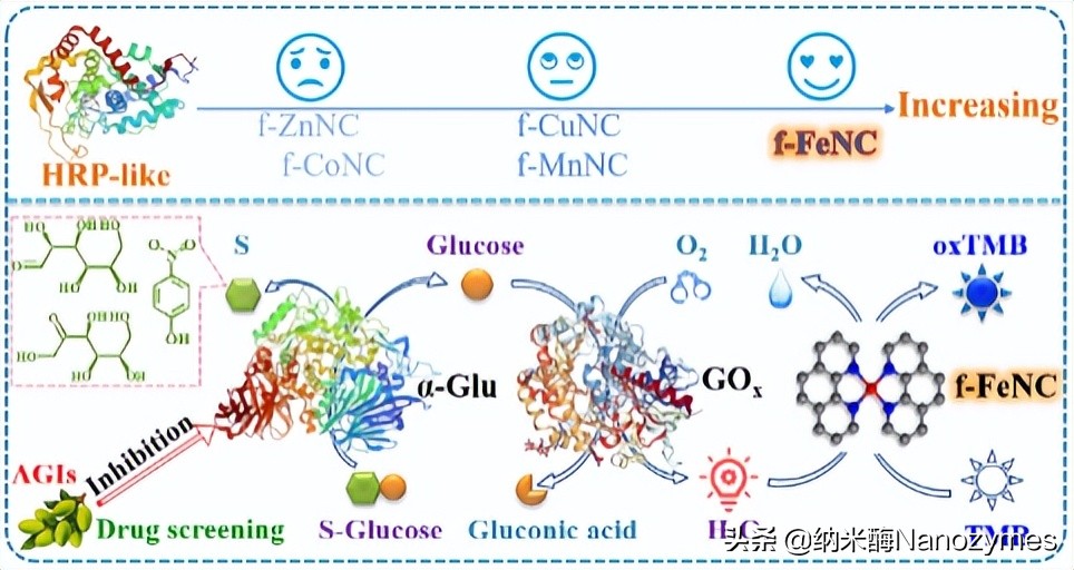 Anal. Chem. | 基于金属-氮-碳纳米酶构建多酶级联反应传感平台