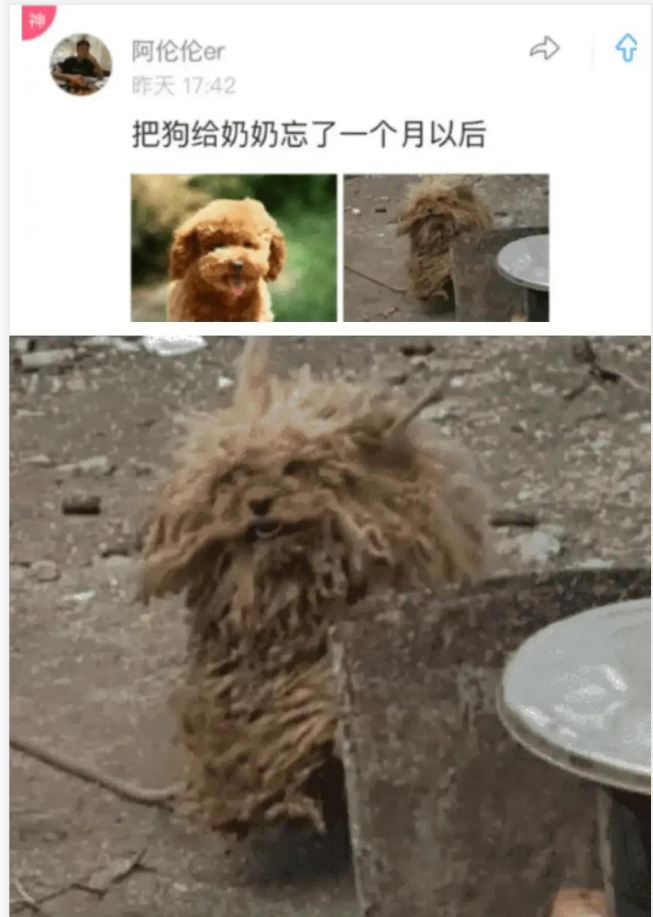神回复:娶同学55岁的妈妈,第一眼就被迷住!神评才是亮点