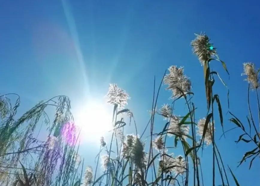 你温暖着我的心，我许你相伴到老，余生有你就够了