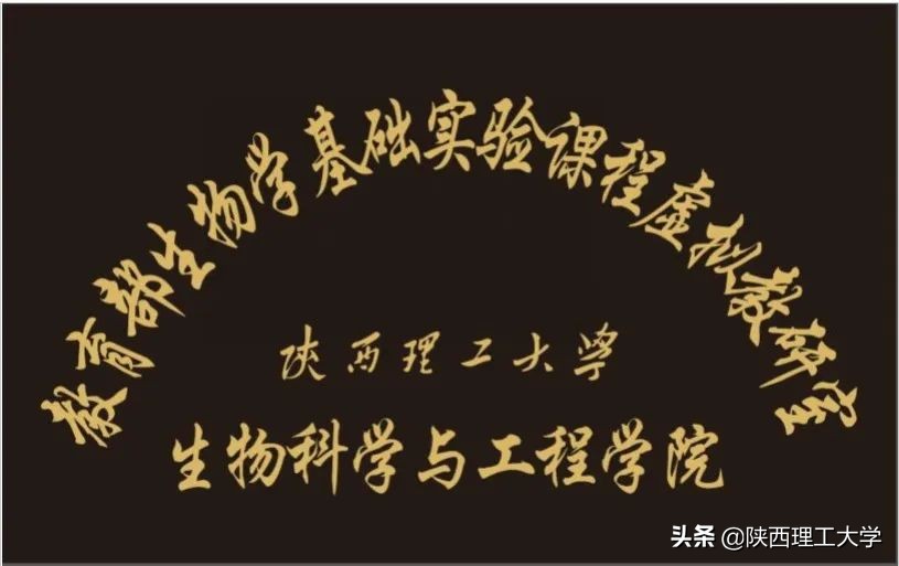 点赞理工丨太棒了，我的陕理工！（6）