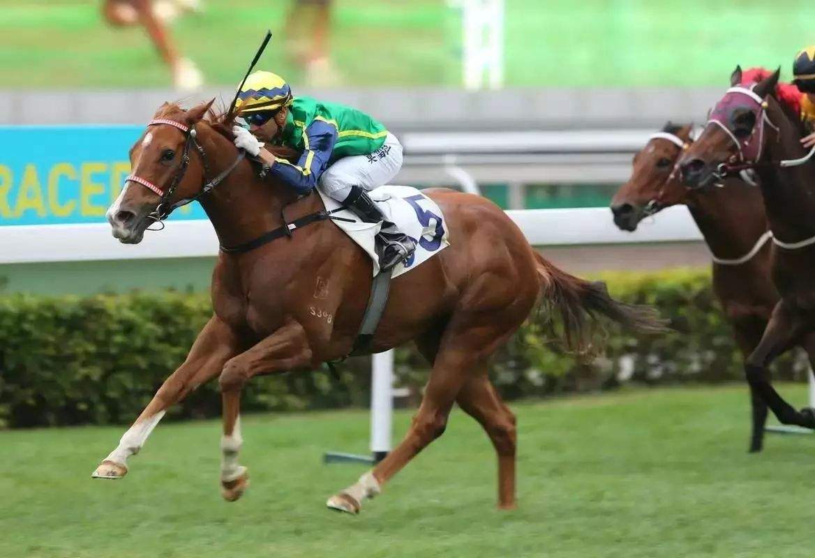 扎着两条小辫的亚洲女首富龚如心，丈夫被绑失踪后，性情大变