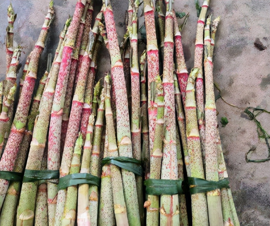 十大最酸水果排行榜：柠檬、青柠、山楂等九种极致酸味水果盘点