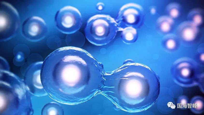 涉外知产快讯｜在协作创新生态系统的支持下推进细胞生长研究