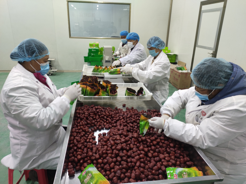 新疆若羌：红枣产销两旺 加工如火如荼