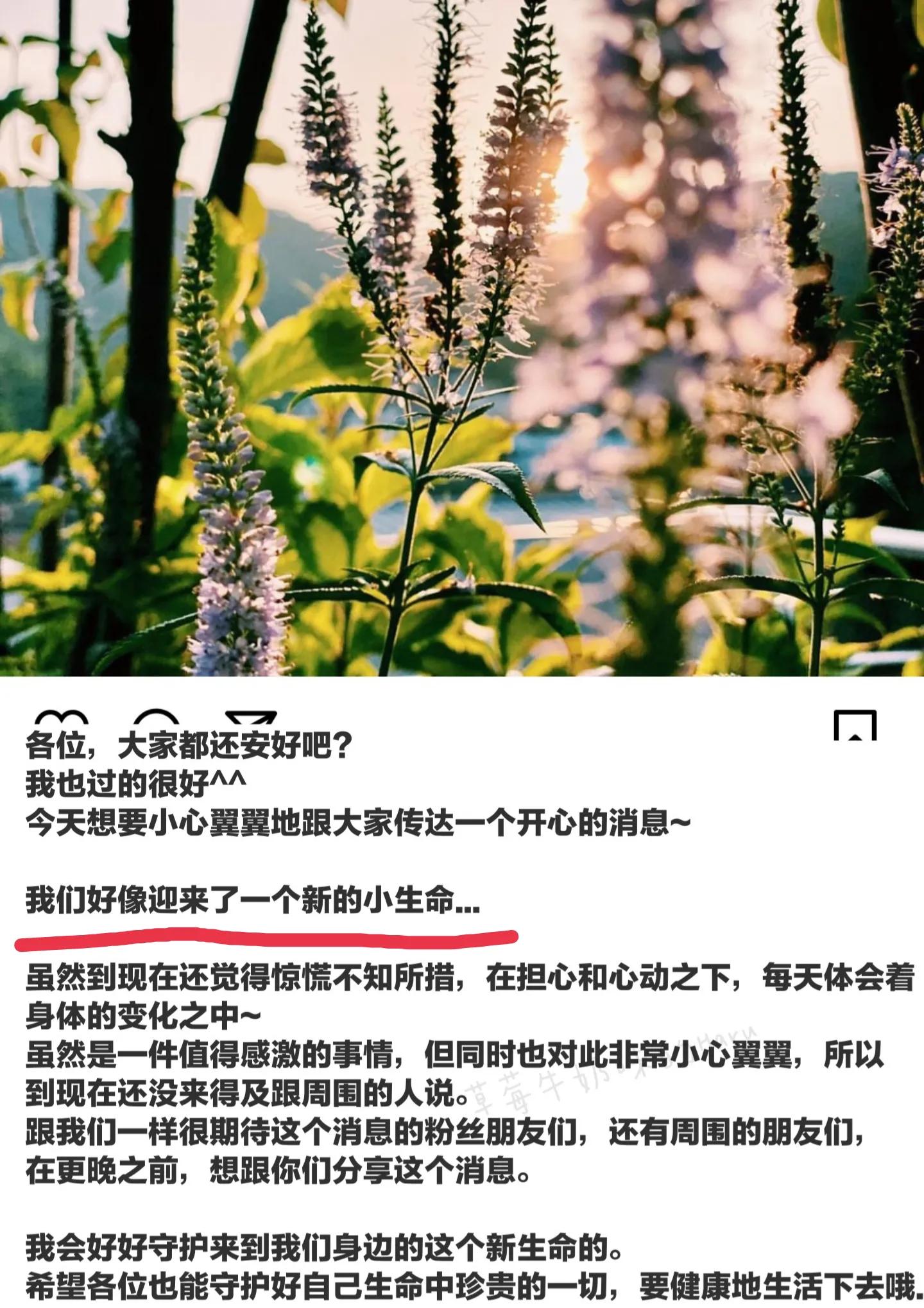 今日6大瓜：四字女星恋情、薇娅老公被罚、《披荆斩棘2》阵容