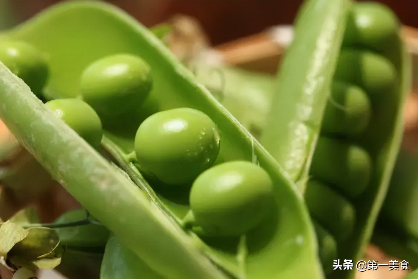 图片[1]-三月豌豆是个宝 蛋白质丰富好吸收 孩子爱吃 个子蹭蹭长-起舞食谱网