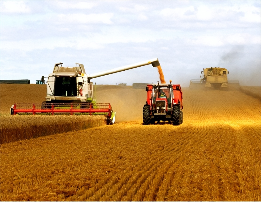 全球粮食自给率排名，法国第1美国第5，中国难道没有上榜？