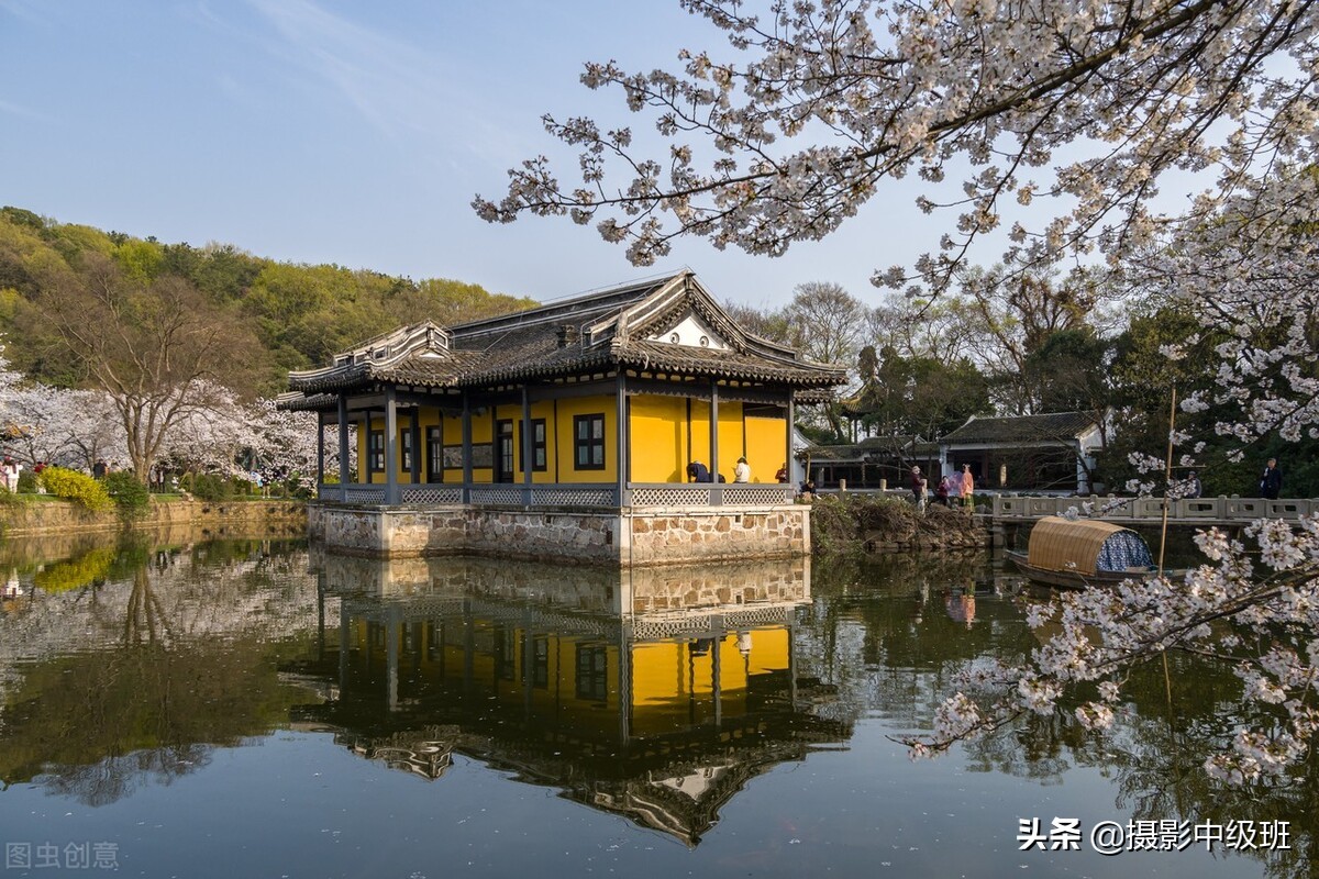 拍花的4個忌諱，攝影小白容易犯錯，正確拍法在后面