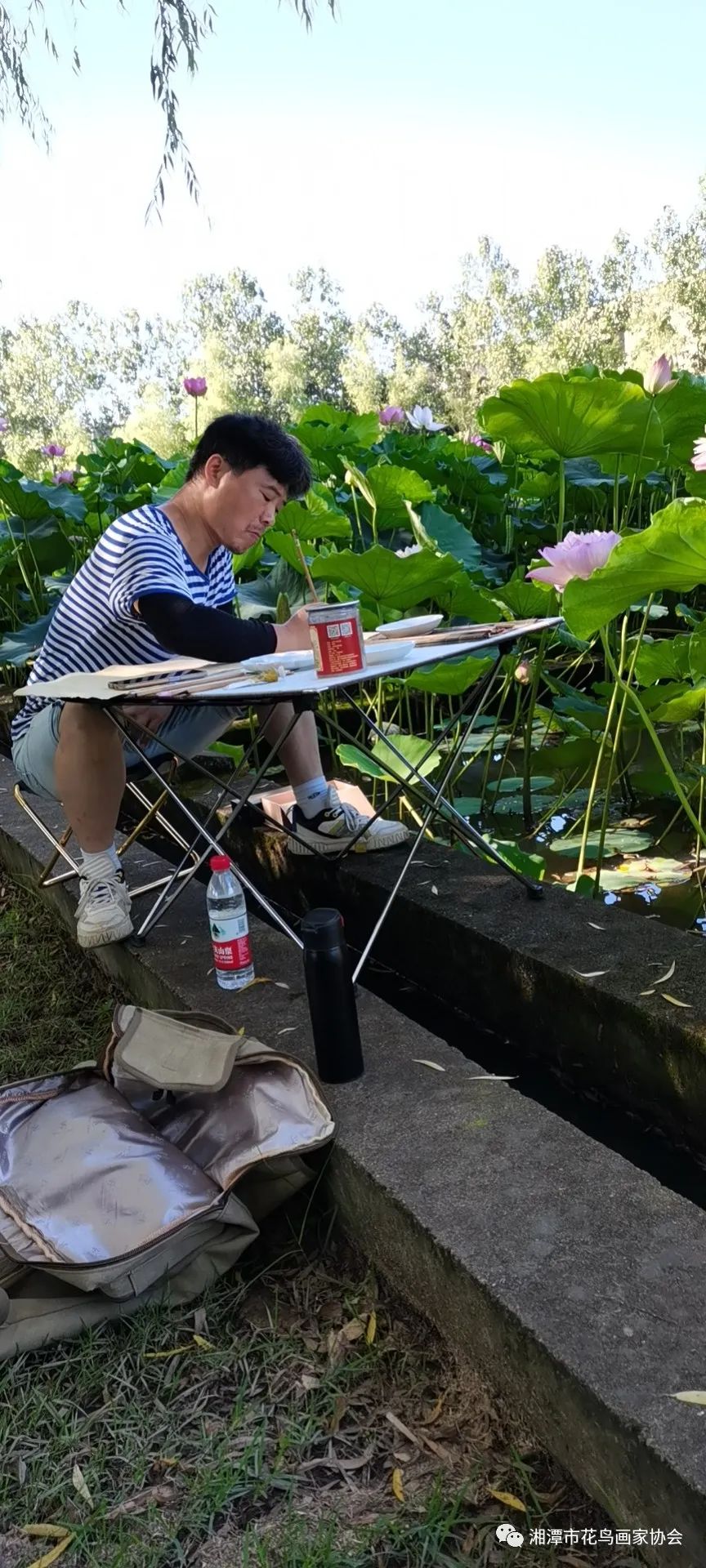 湘潭市花鸟画家协会盘龙大观园荷花写生活动圆满成功